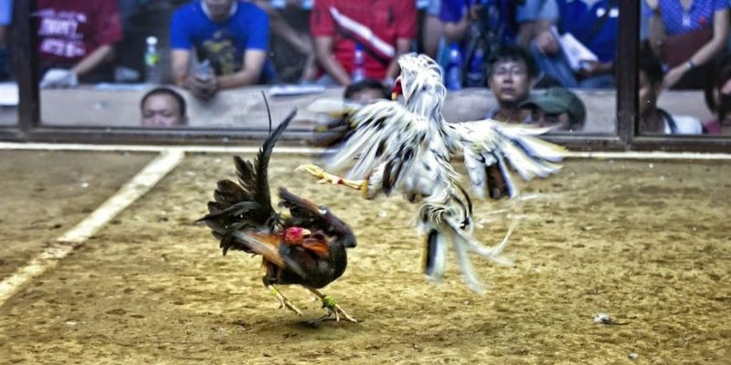 99win33 ﻿đăng nhập lô đề uy tín