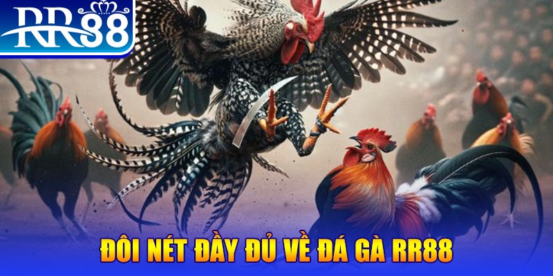99win33 gà chọi hoà phong