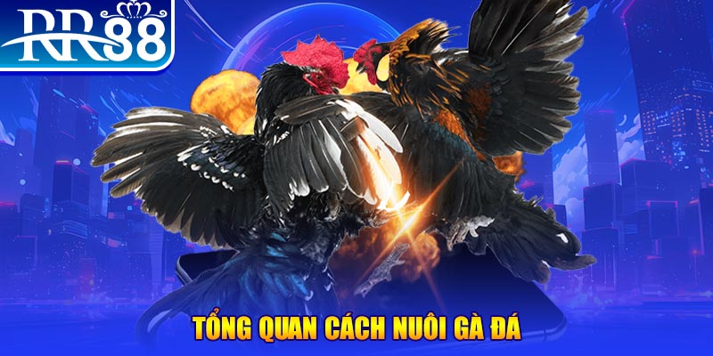 99win33 xổ số thứ ba