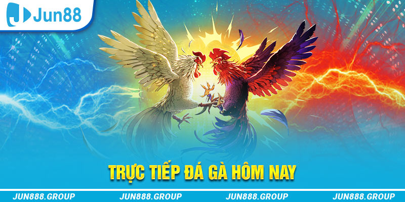 99win33 trực tiếp đá gà thomo