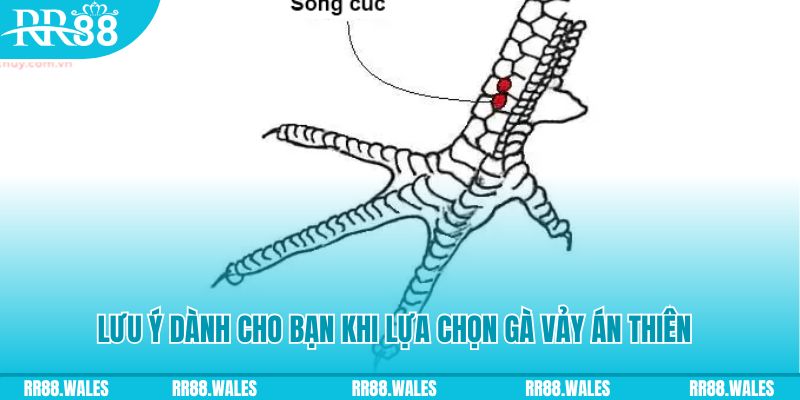 99win33 xổ số khánh hòa
