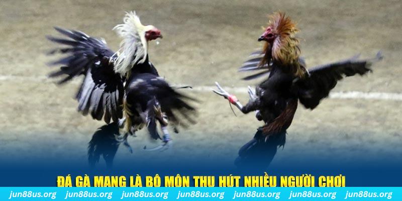 99win33 xổ số long an