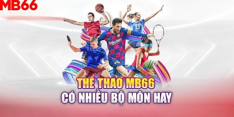 slot là gì nghĩa