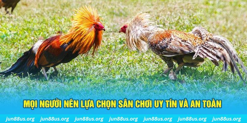 99win33 Tài Xỉu