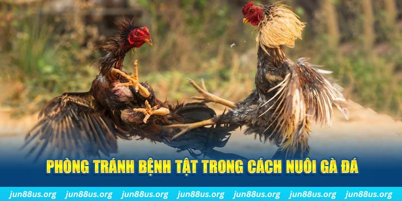 99win33 natural” trong baccarat nghĩa là gì？