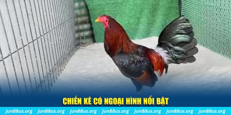99win33 nhạc slot là gì