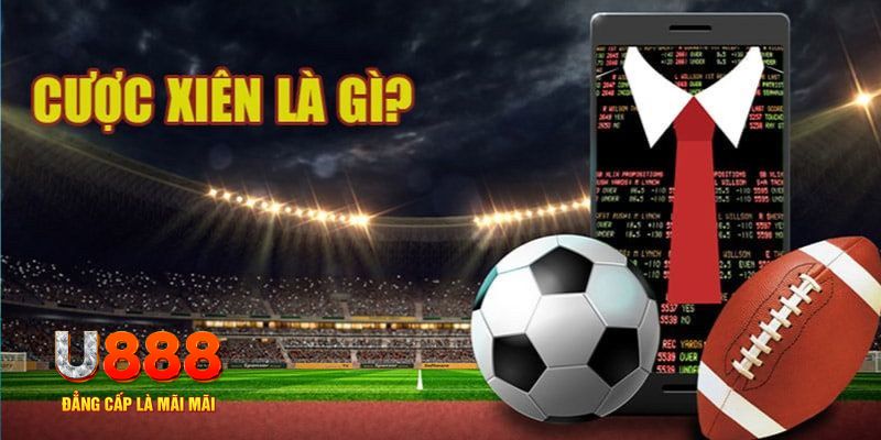 99win33 đá gà thomo hôm nay